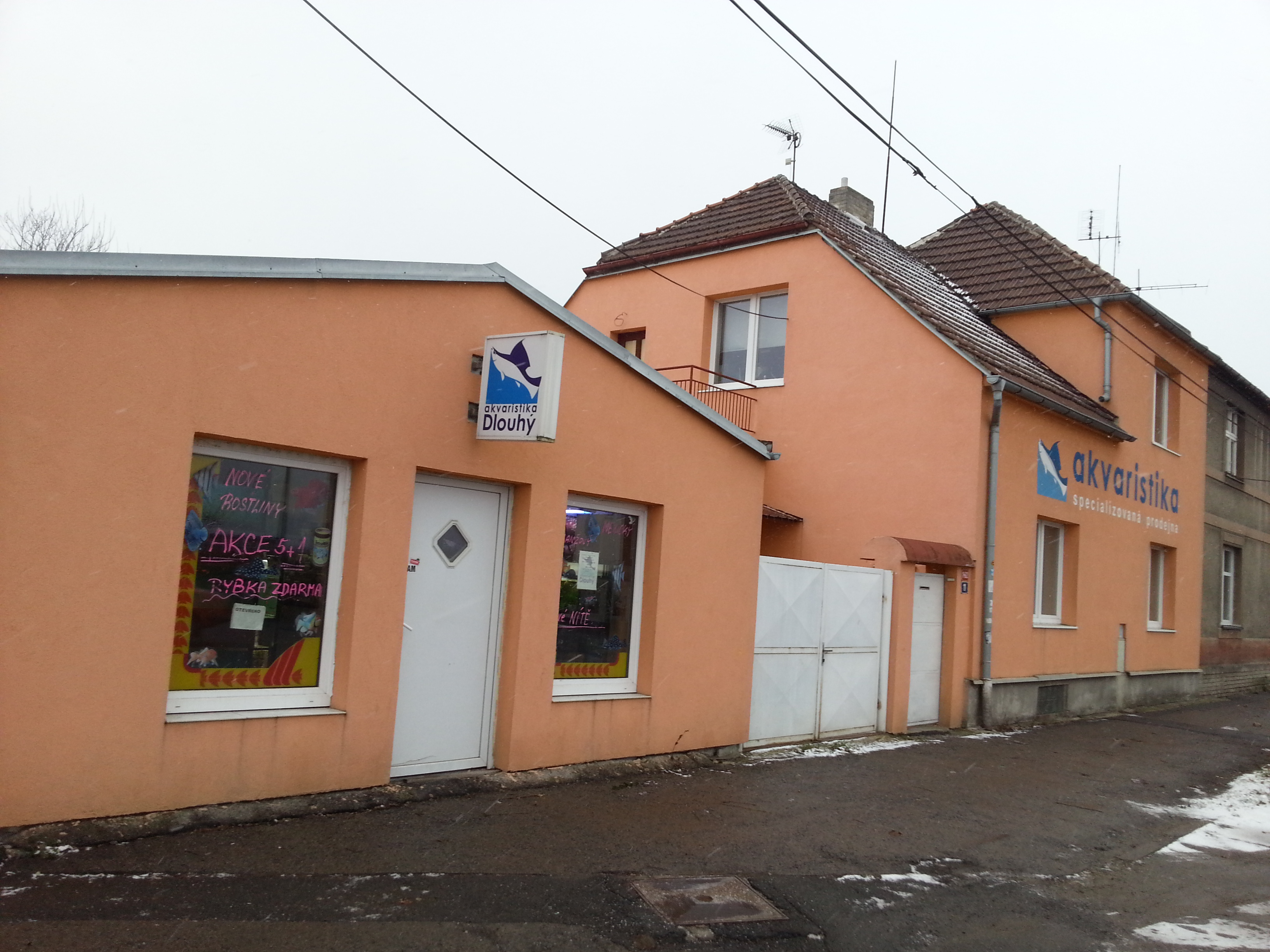 Akvaristika Dlouhý foto 1