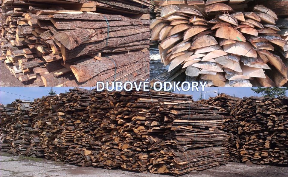 DATO-FOREST, s.r.o. foto 3