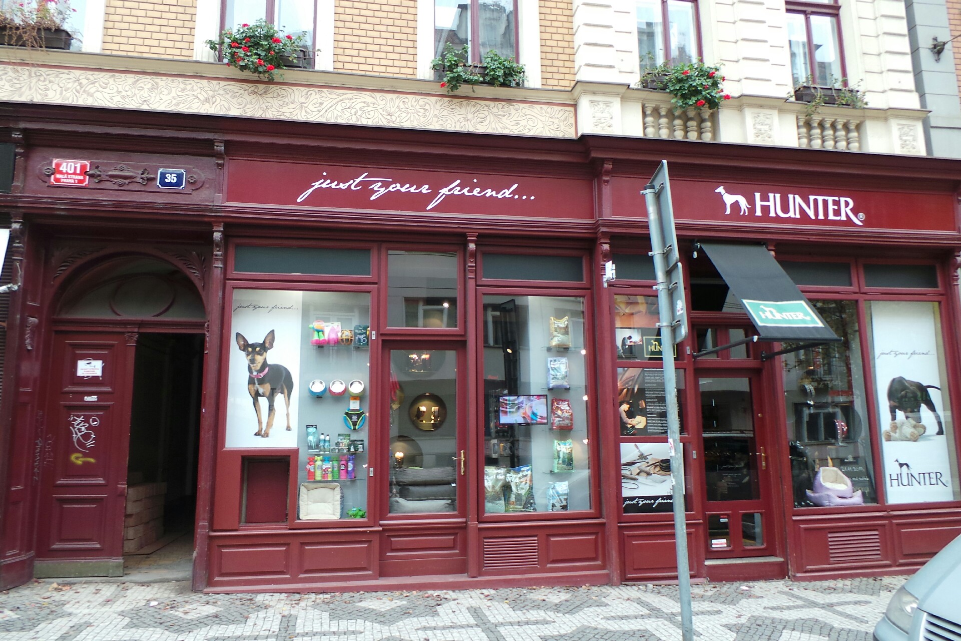 WE LOVE DOGS | HUNTER