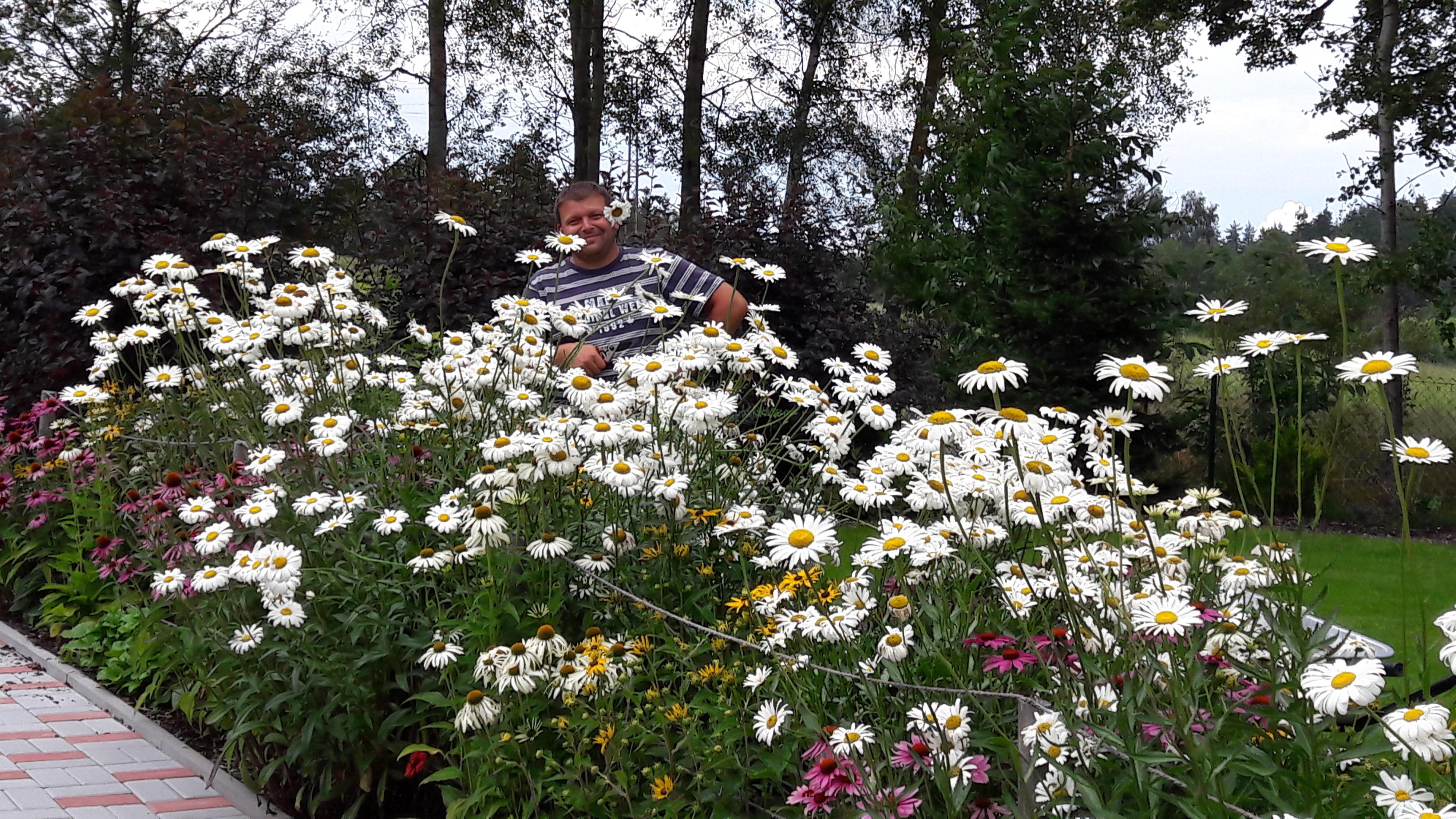 David Ryšánek - Zahradnictví foto 5