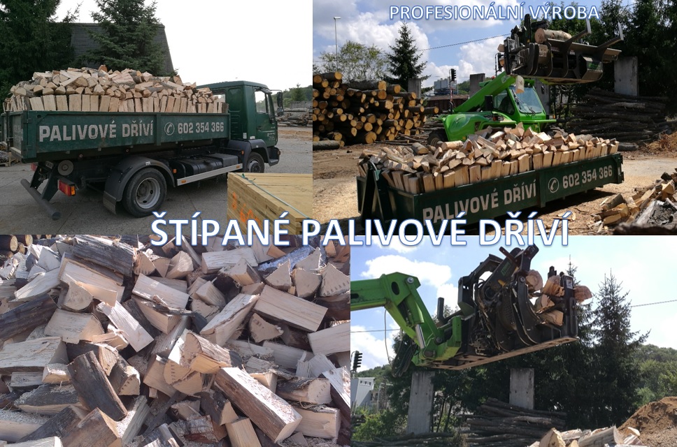 DATO-FOREST, s.r.o. foto 4