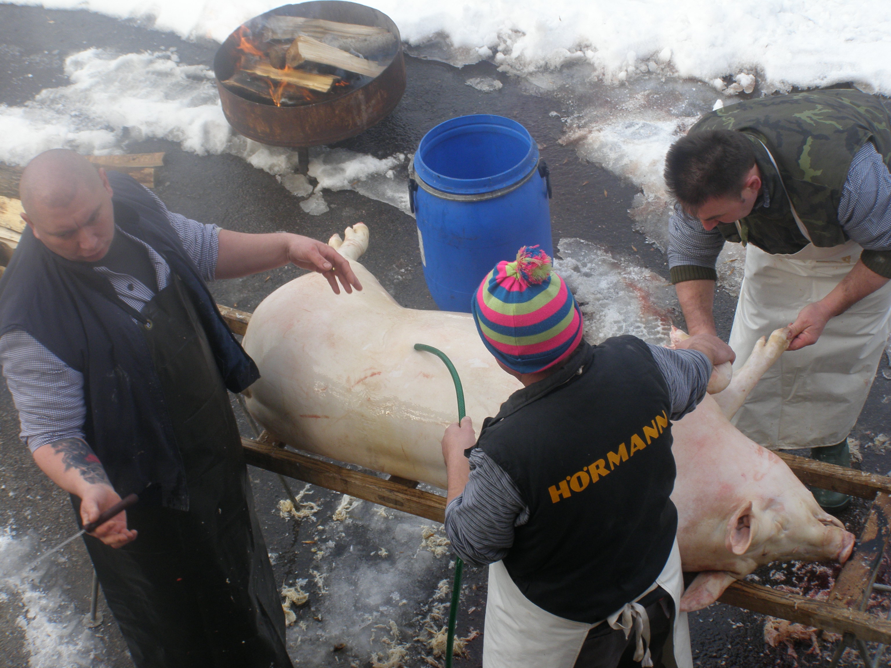 Apartmány u Žabáků foto 2