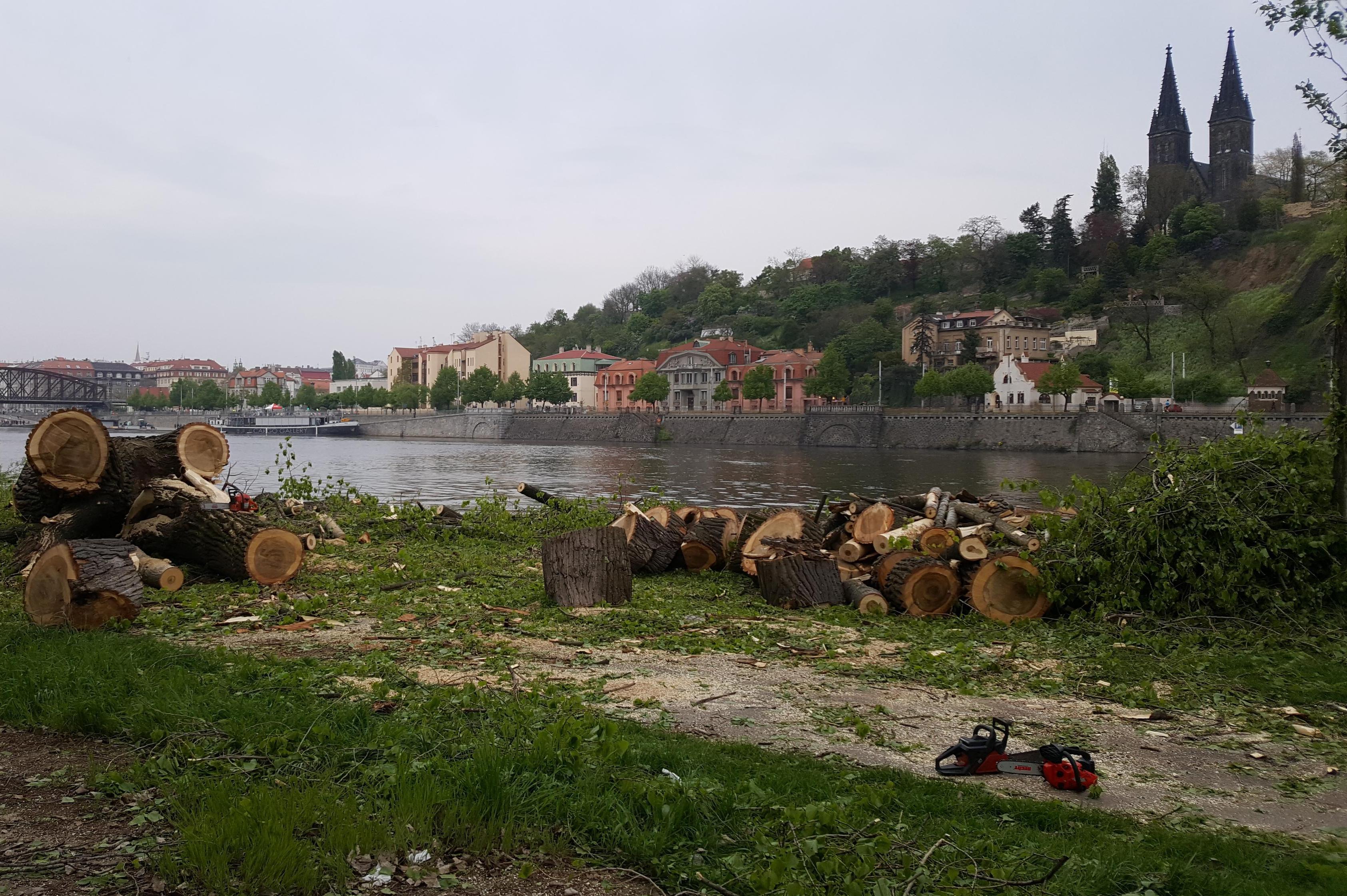 Rizikové kácení stromů Ing. Jan Punčochář