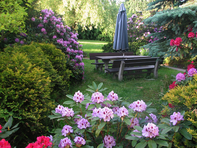 Slezská zahrada - Mgr. Irena Beránková foto 3