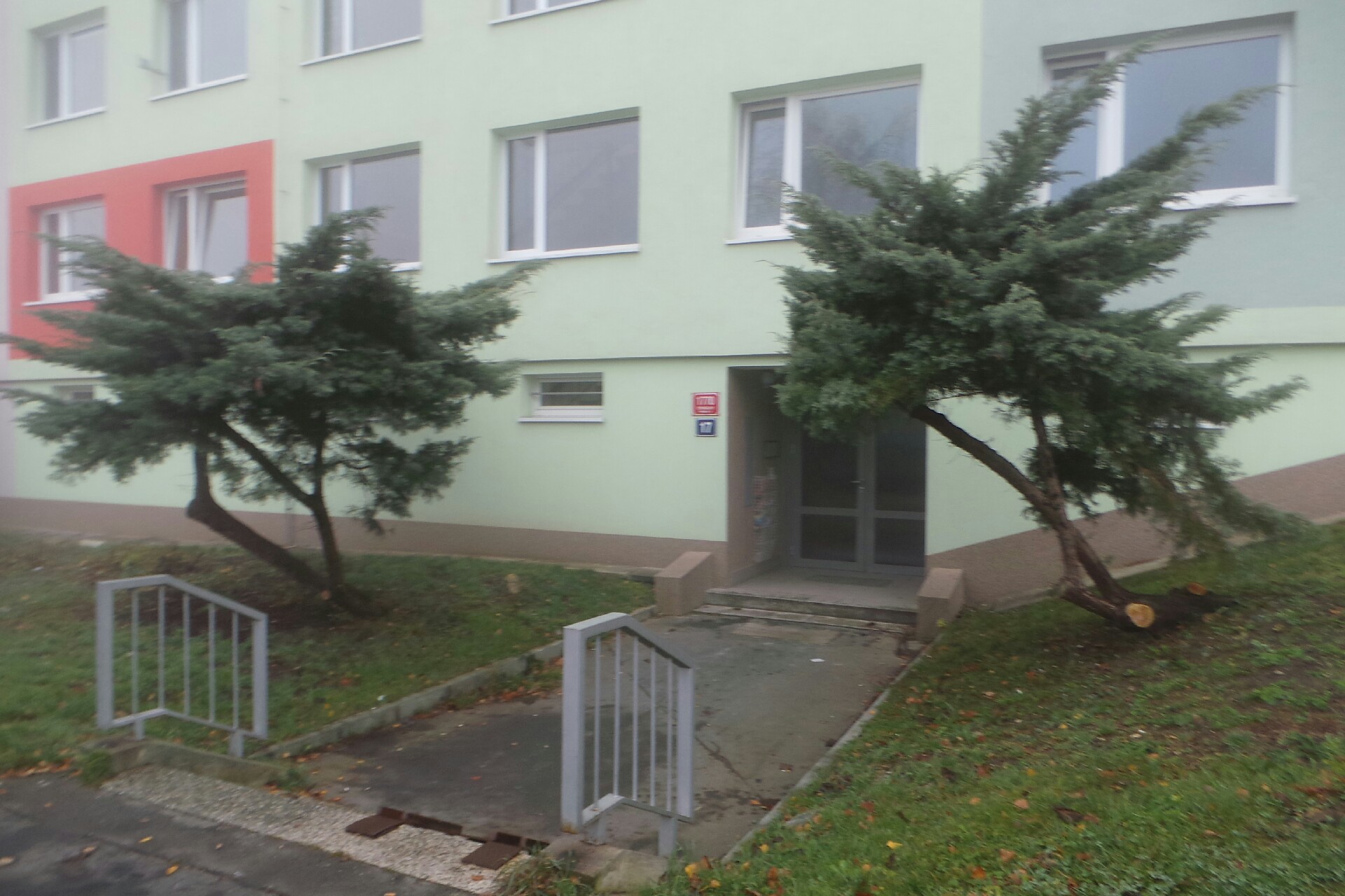 Regenerační V studio foto 2