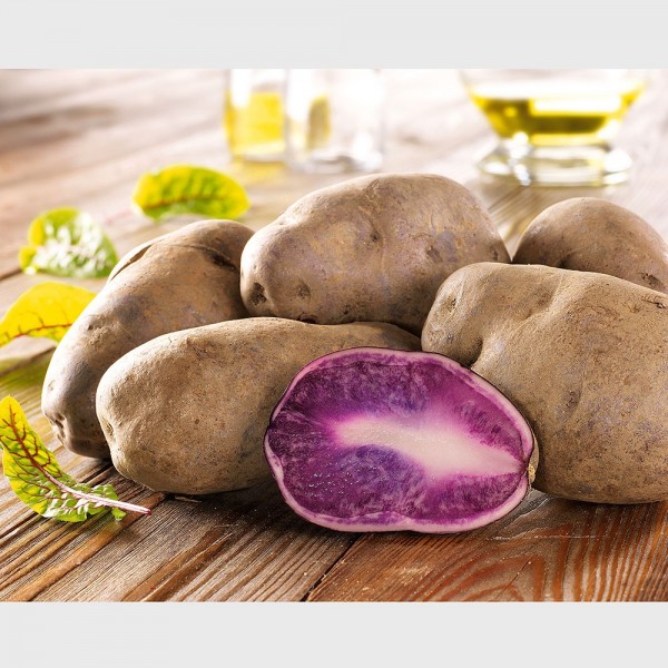 Sieberz.cz foto 2