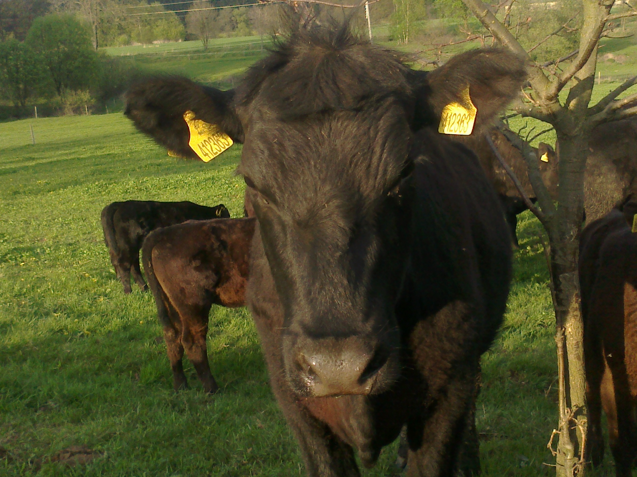 Jan Rychtecký foto 3