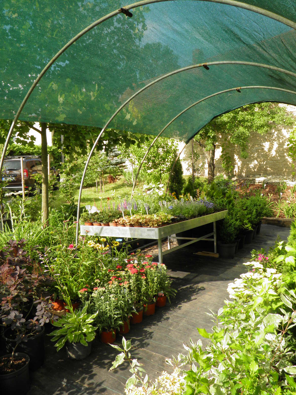 DENIVKOVÁ ZAHRADA foto 3