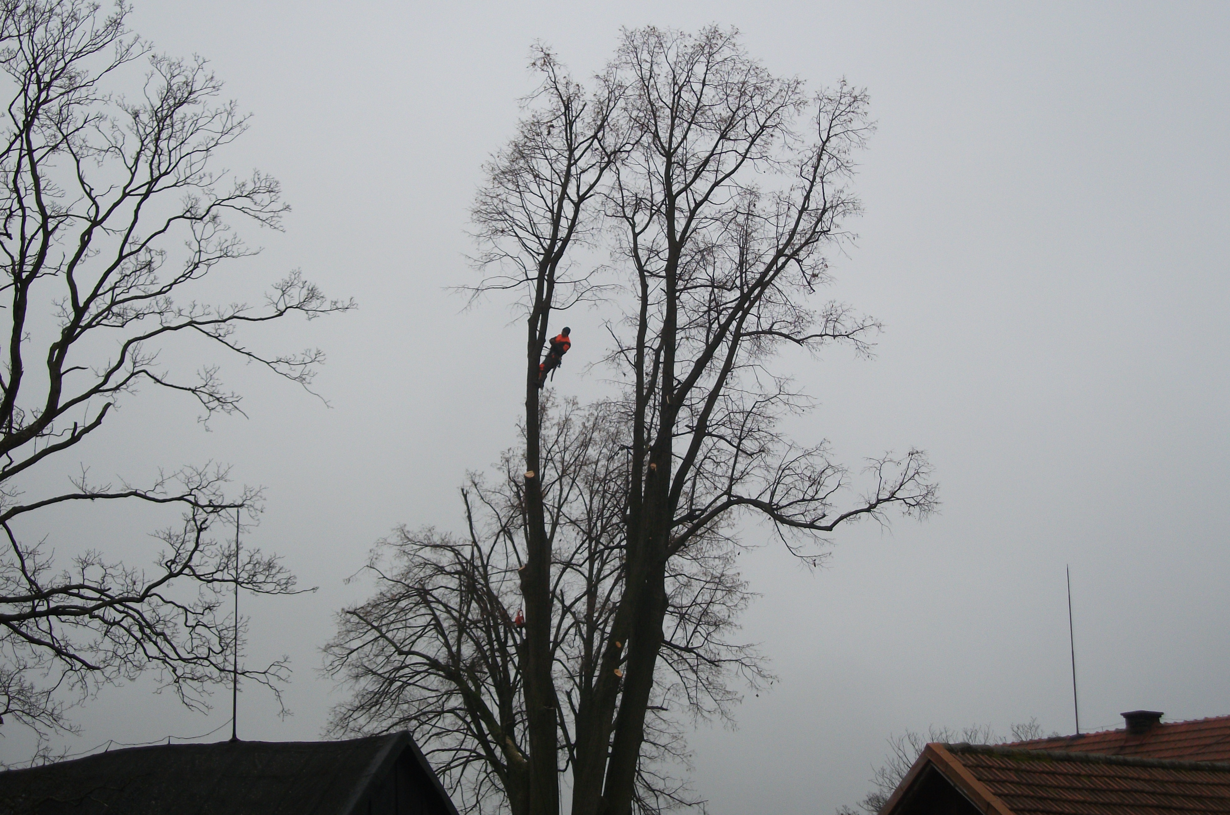 Miroslav Hovad foto 2