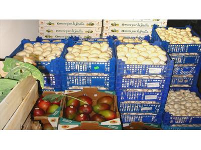 Batlička - Ovoce a zelenina foto 4