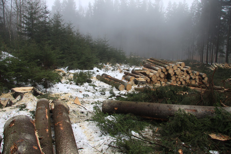 Pila Rozsochatec s.r.o foto 4