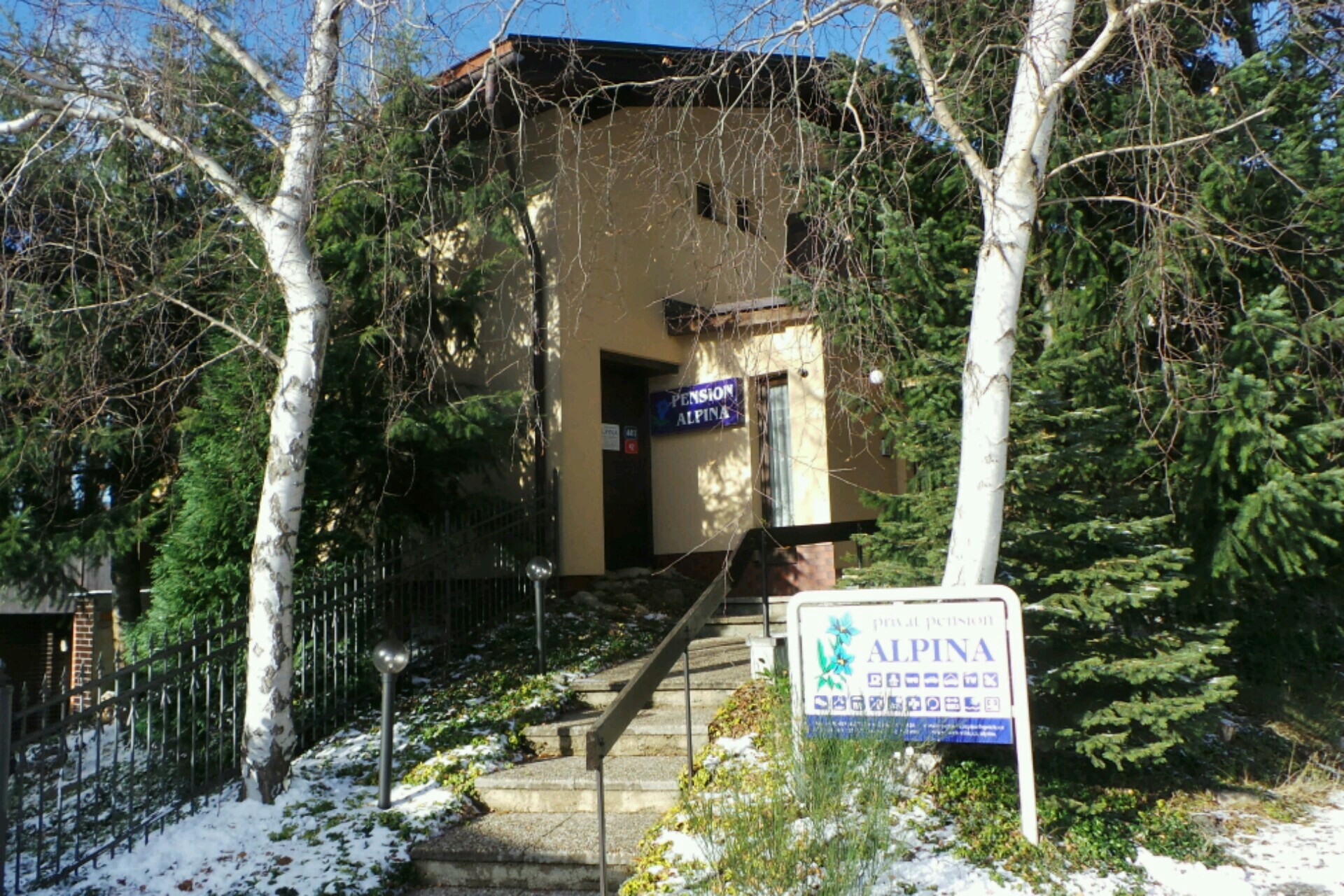 Pension Alpina foto 1