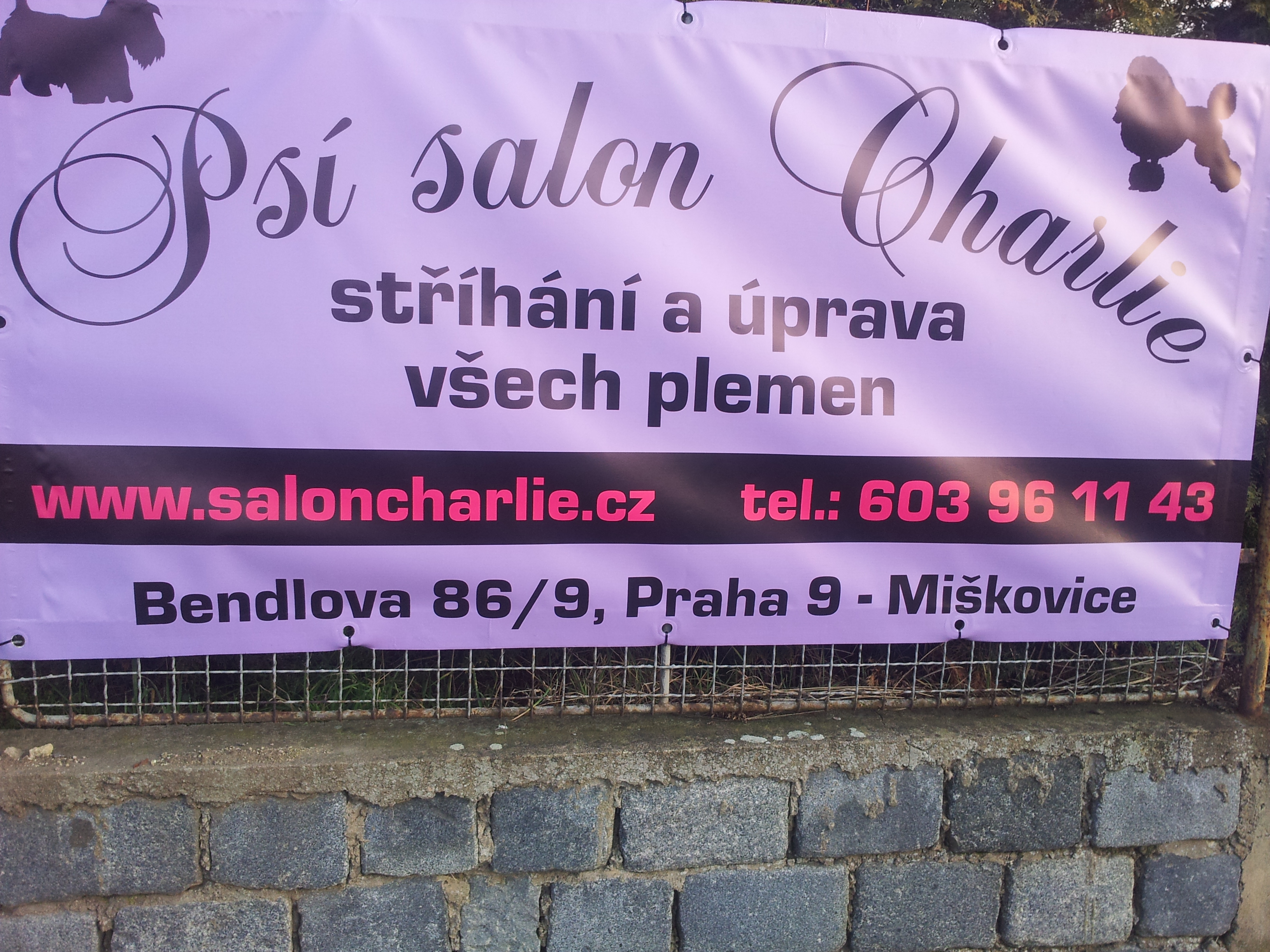 Psí salon Charlie foto 2