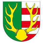 Město Železná Ruda