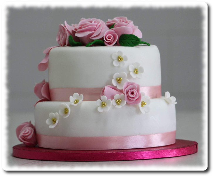 Sladké od fialky foto 2