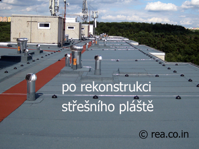 REA Company foto 4