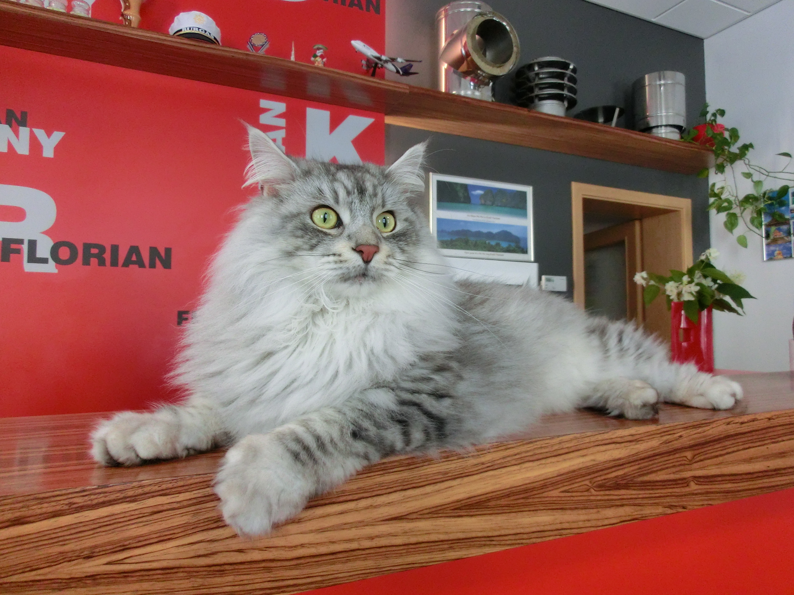 Florian - továrna na komíny foto 5