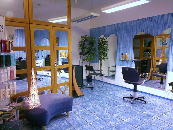 Petra Havlíčková - Modrý salon foto 2