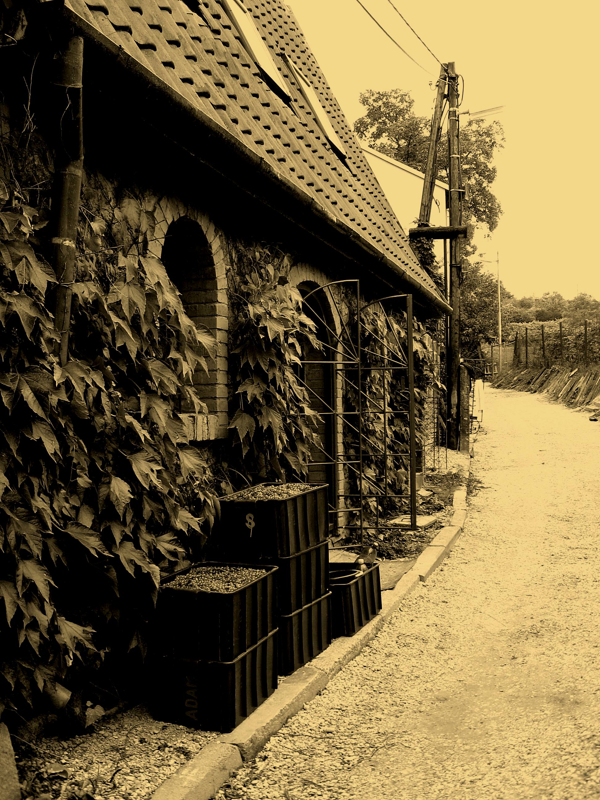 Vinný sklípek U Toma foto 2