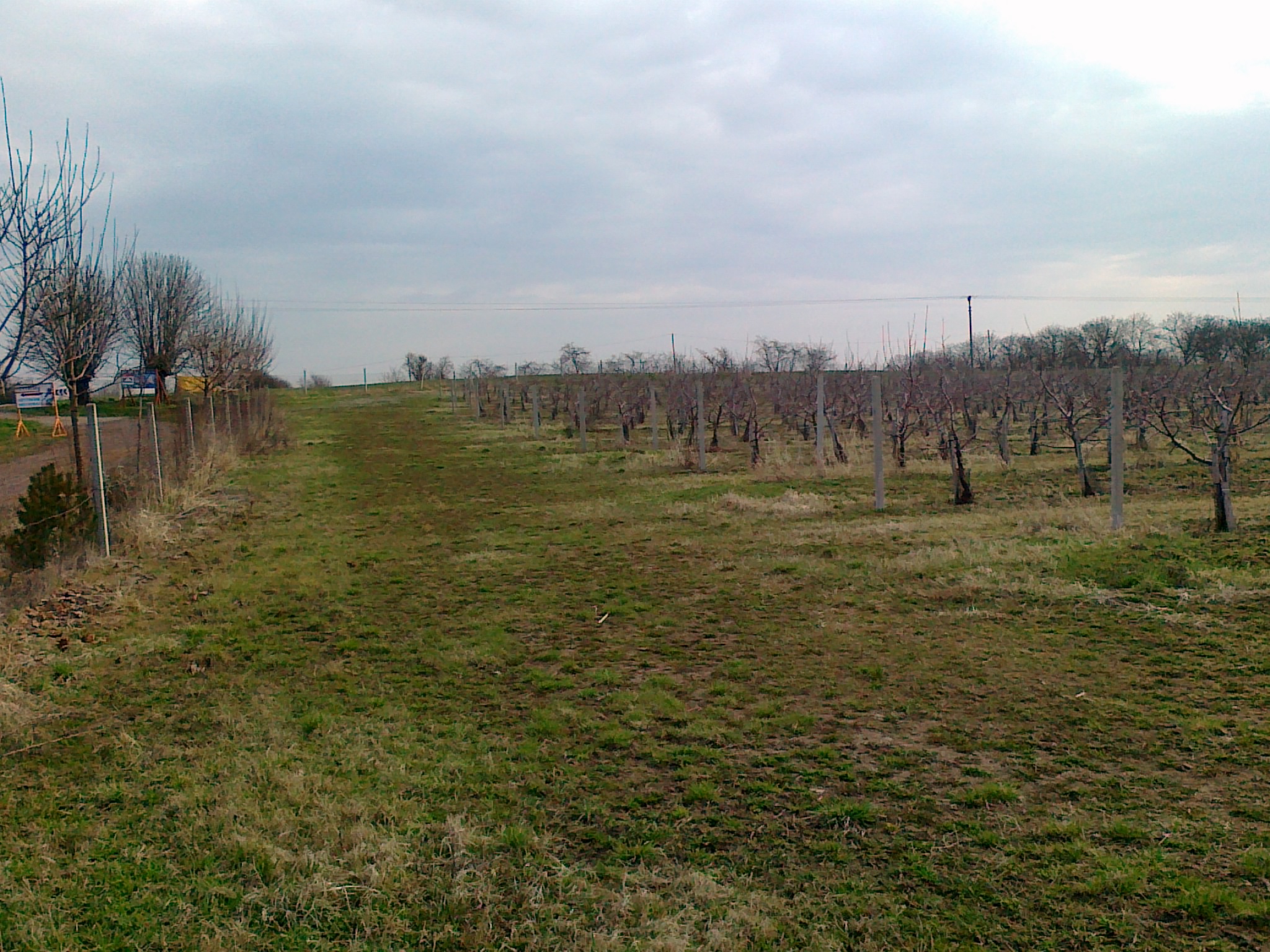 HELOT, spol. s r.o. - Ovocné sady foto 2