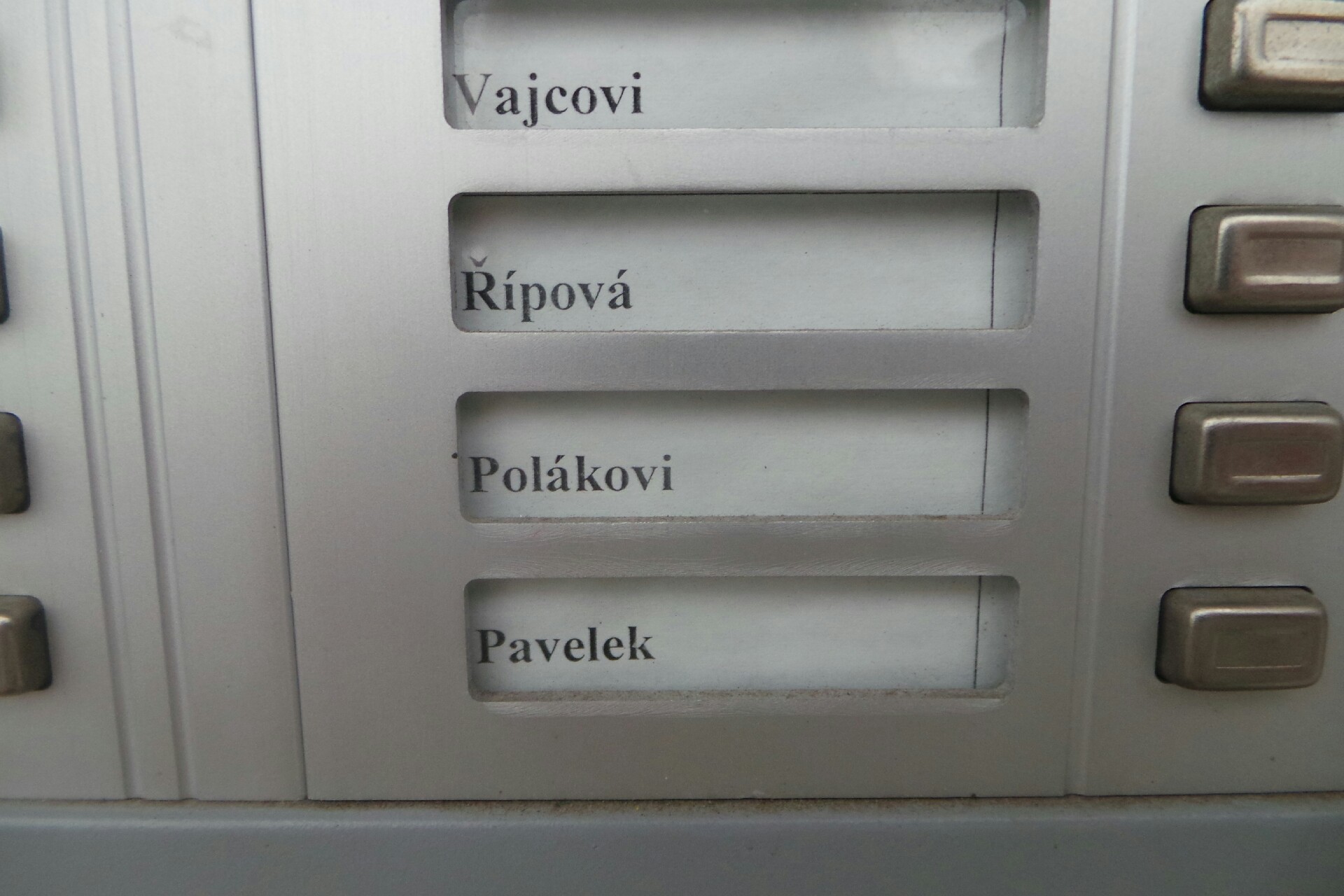 Psí salon U Sáry foto 2