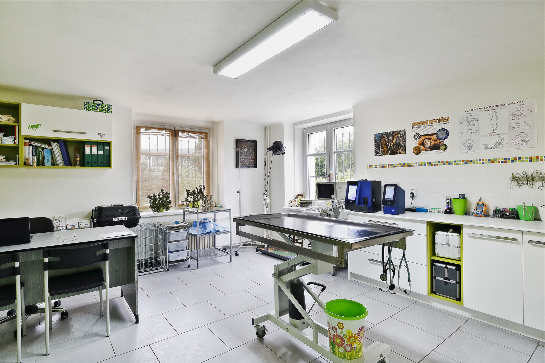 MVDr. Tereza Lázničková (Sophová), TerVet.cz foto 3