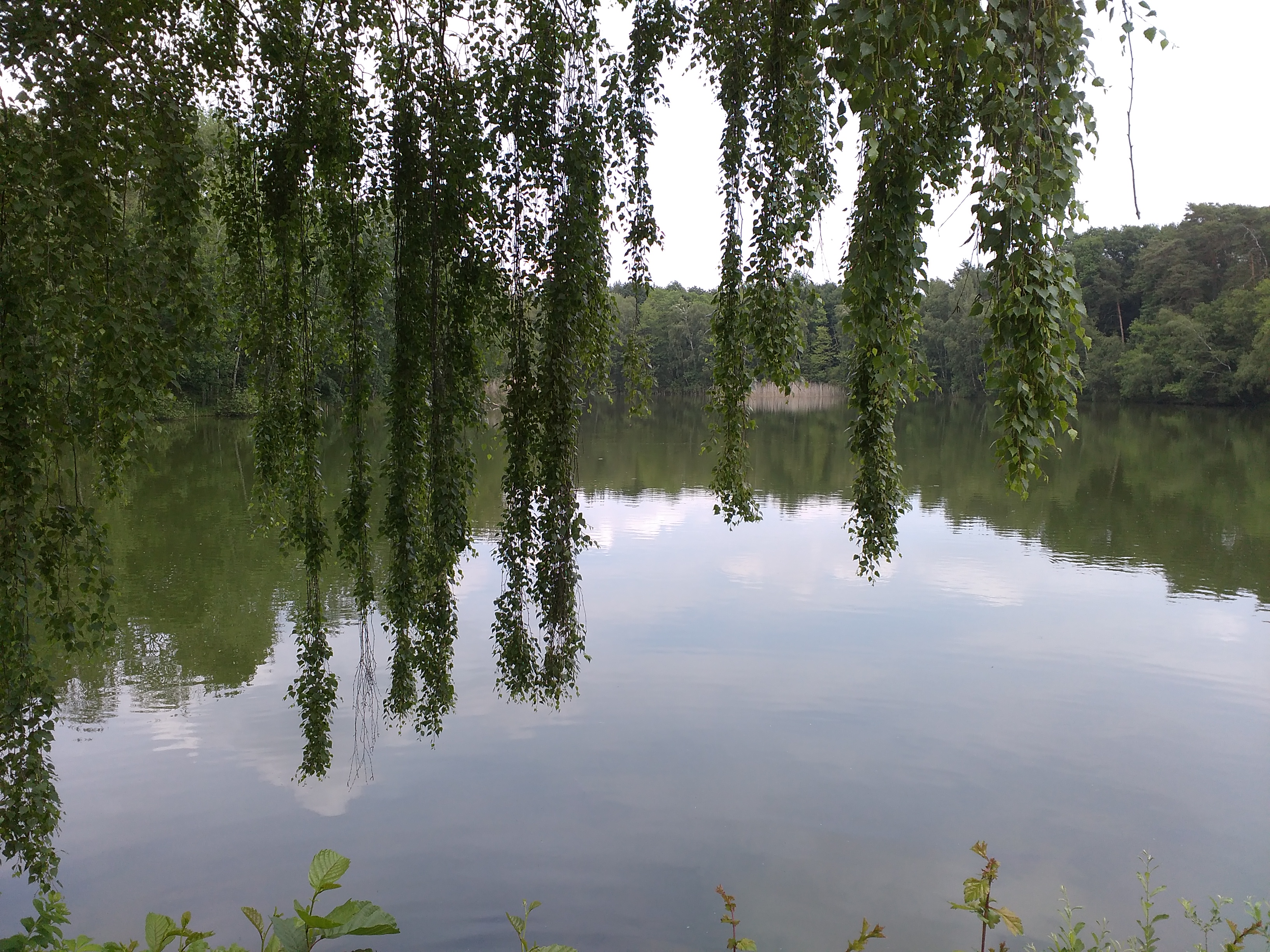 Restaurace Lovecký hotel Jívák foto 2
