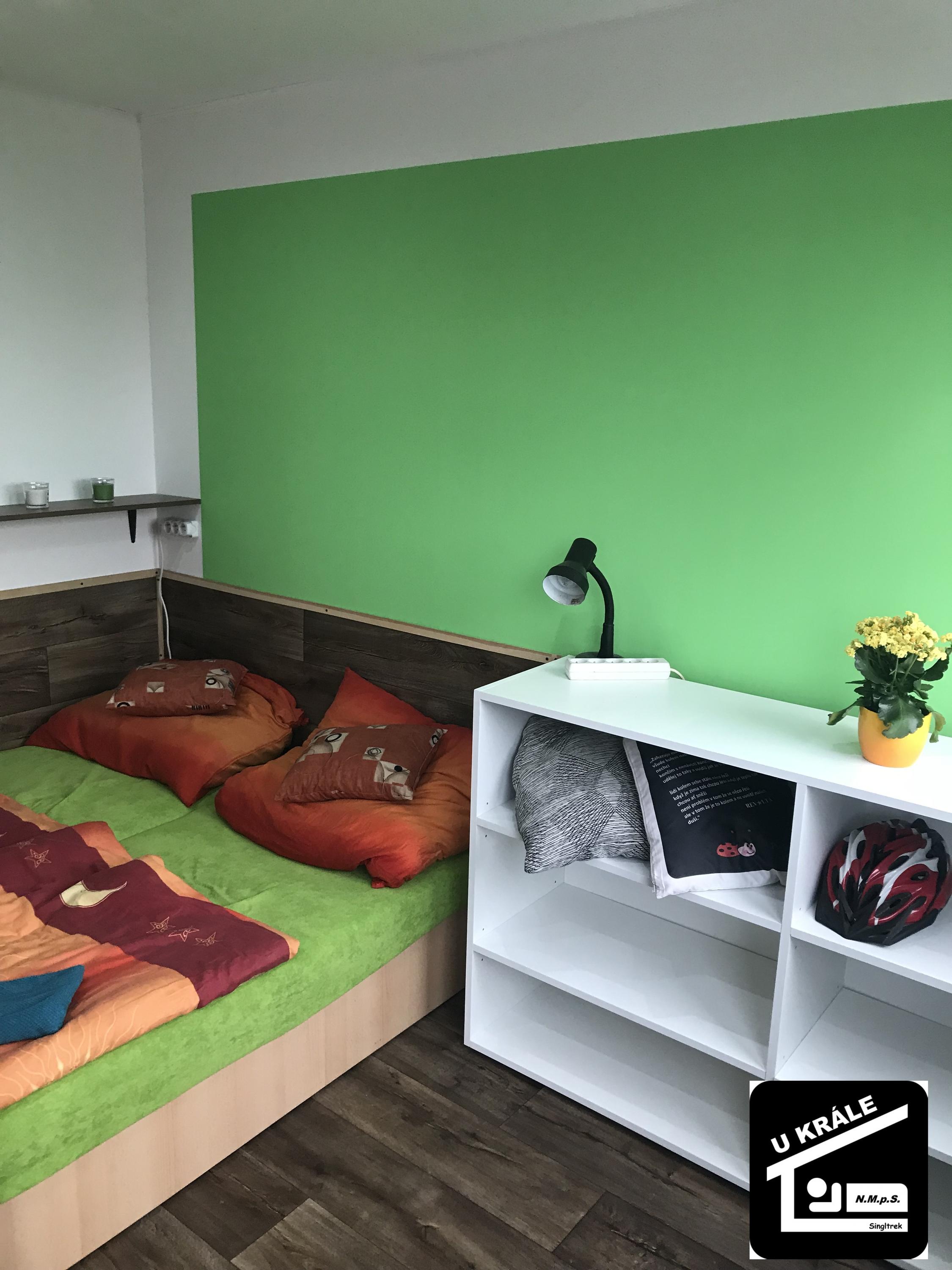 Čištění Král foto 3