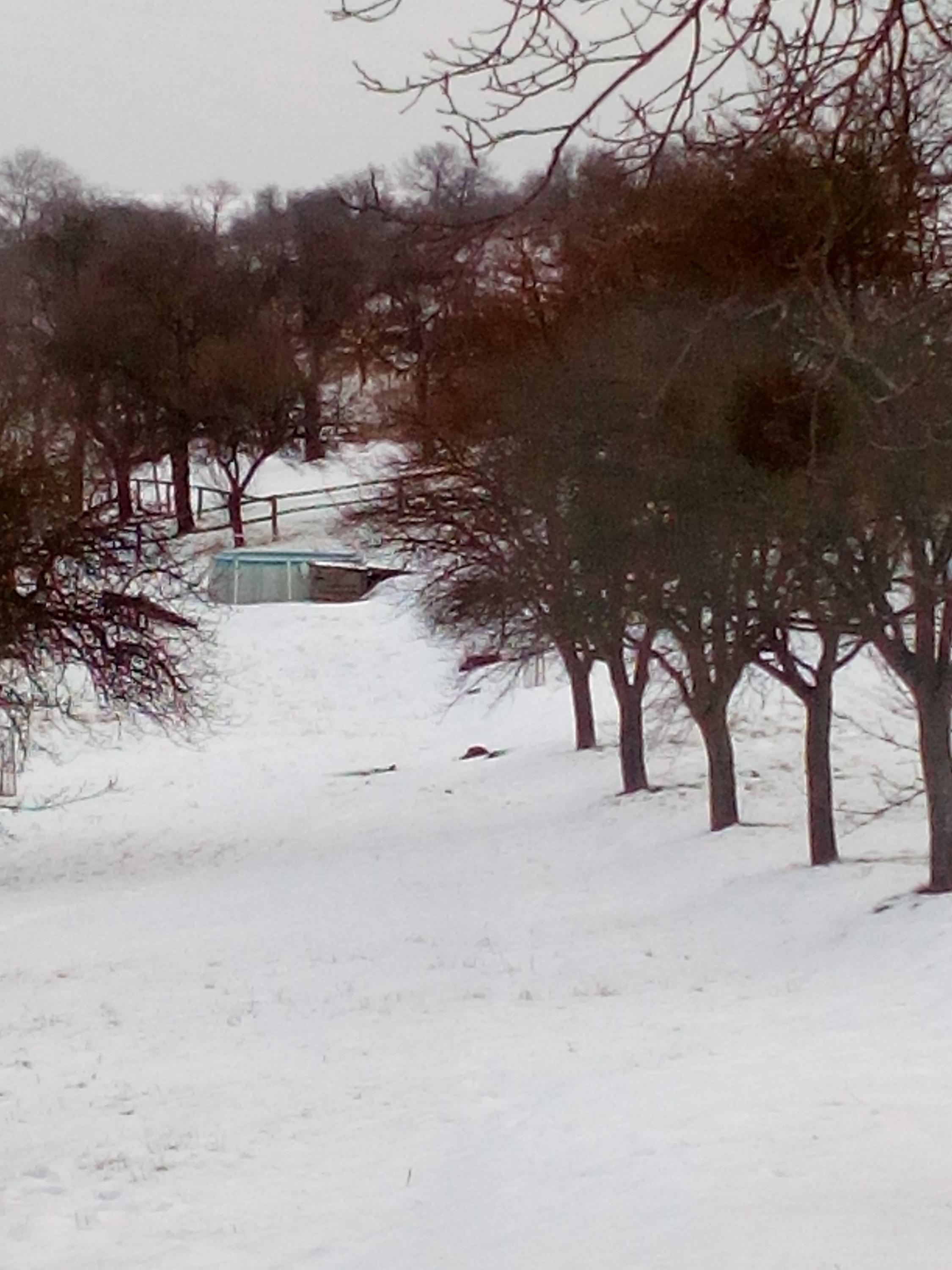 Chalupa Barbara foto 2