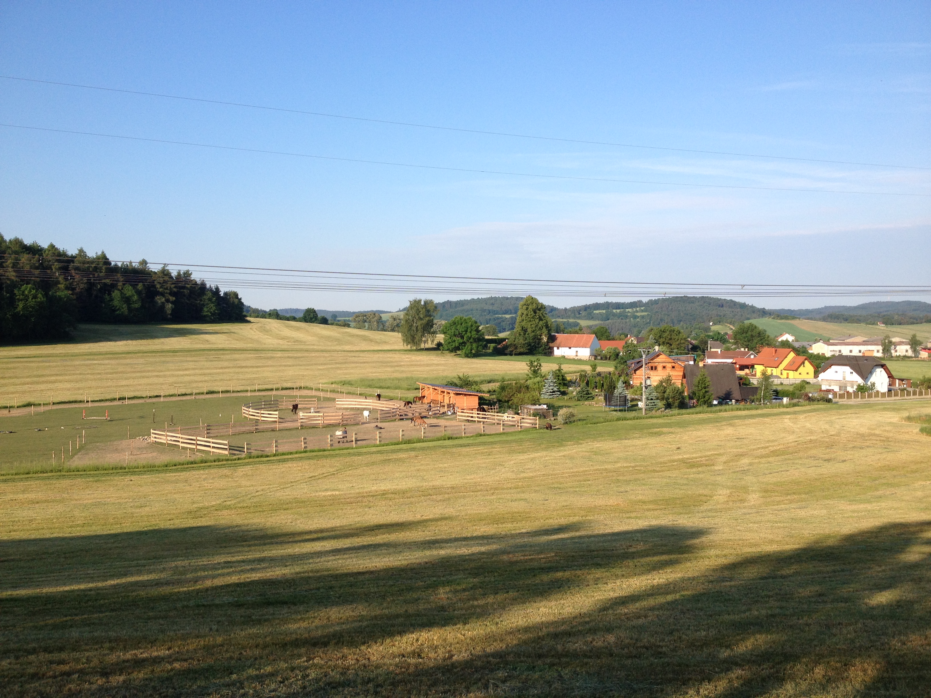 PineTree Pony Farm, z.s. foto 4