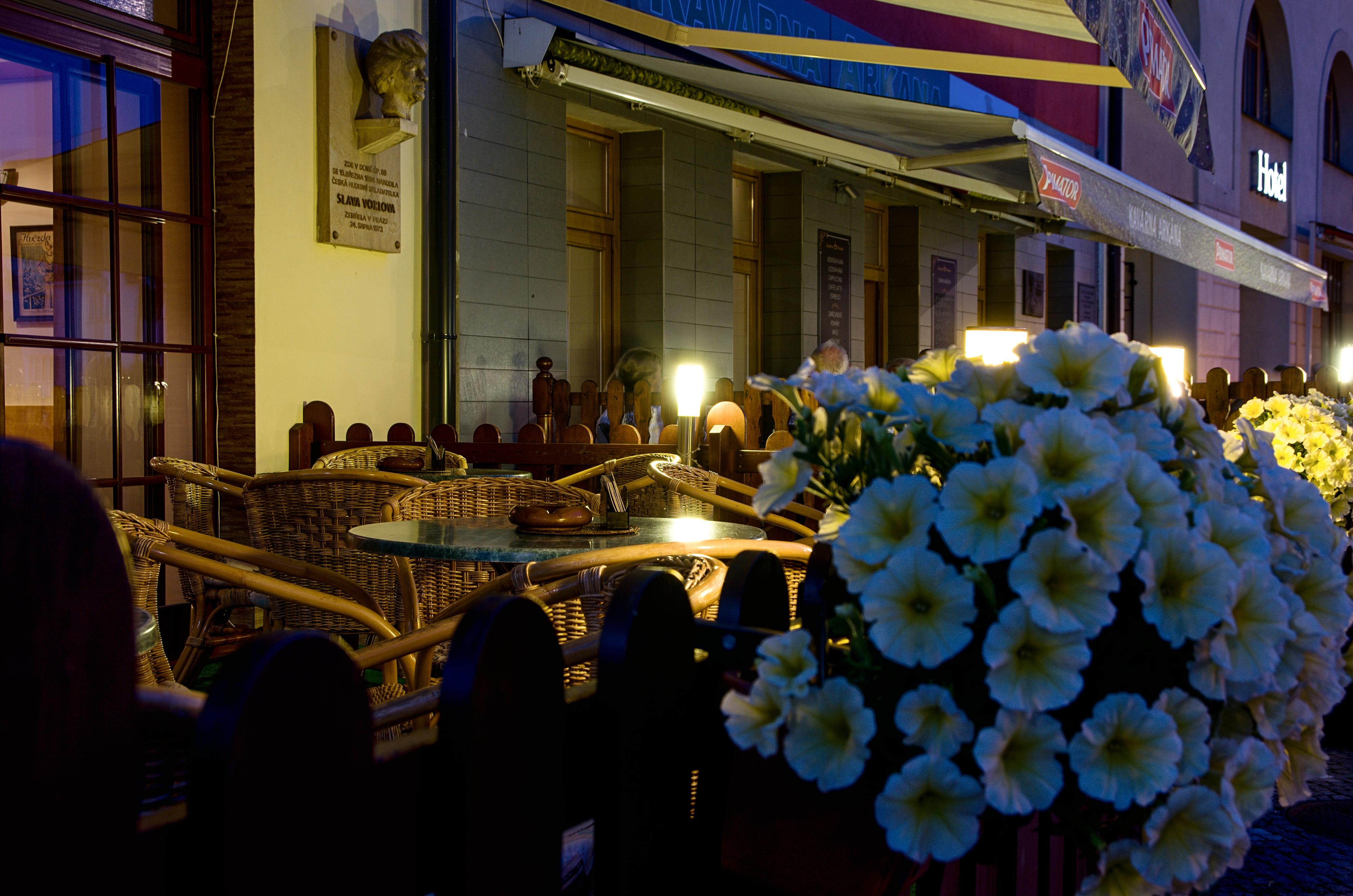 Café bar u lípy