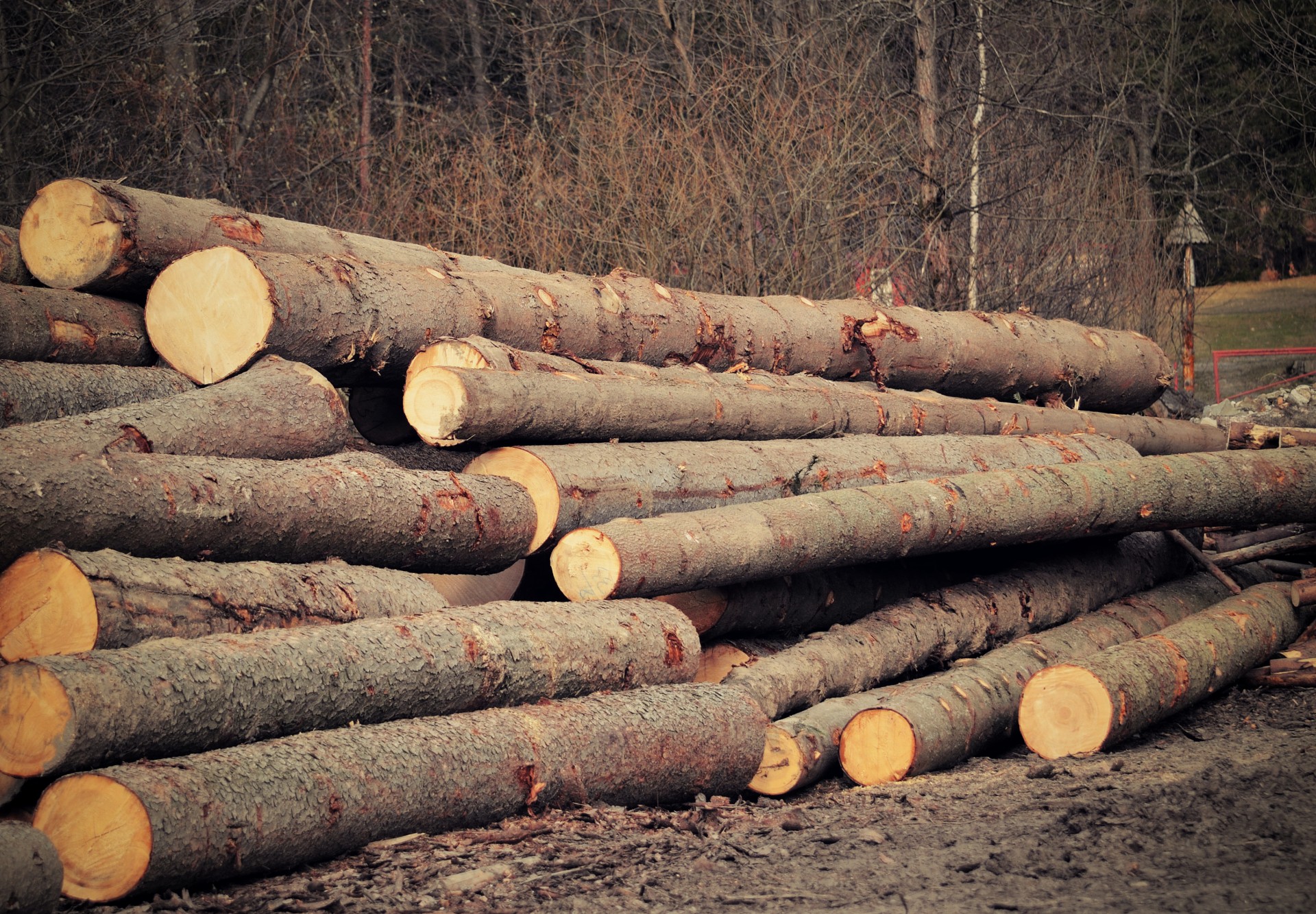 JAKEŠ WOOD s.r.o. foto 3