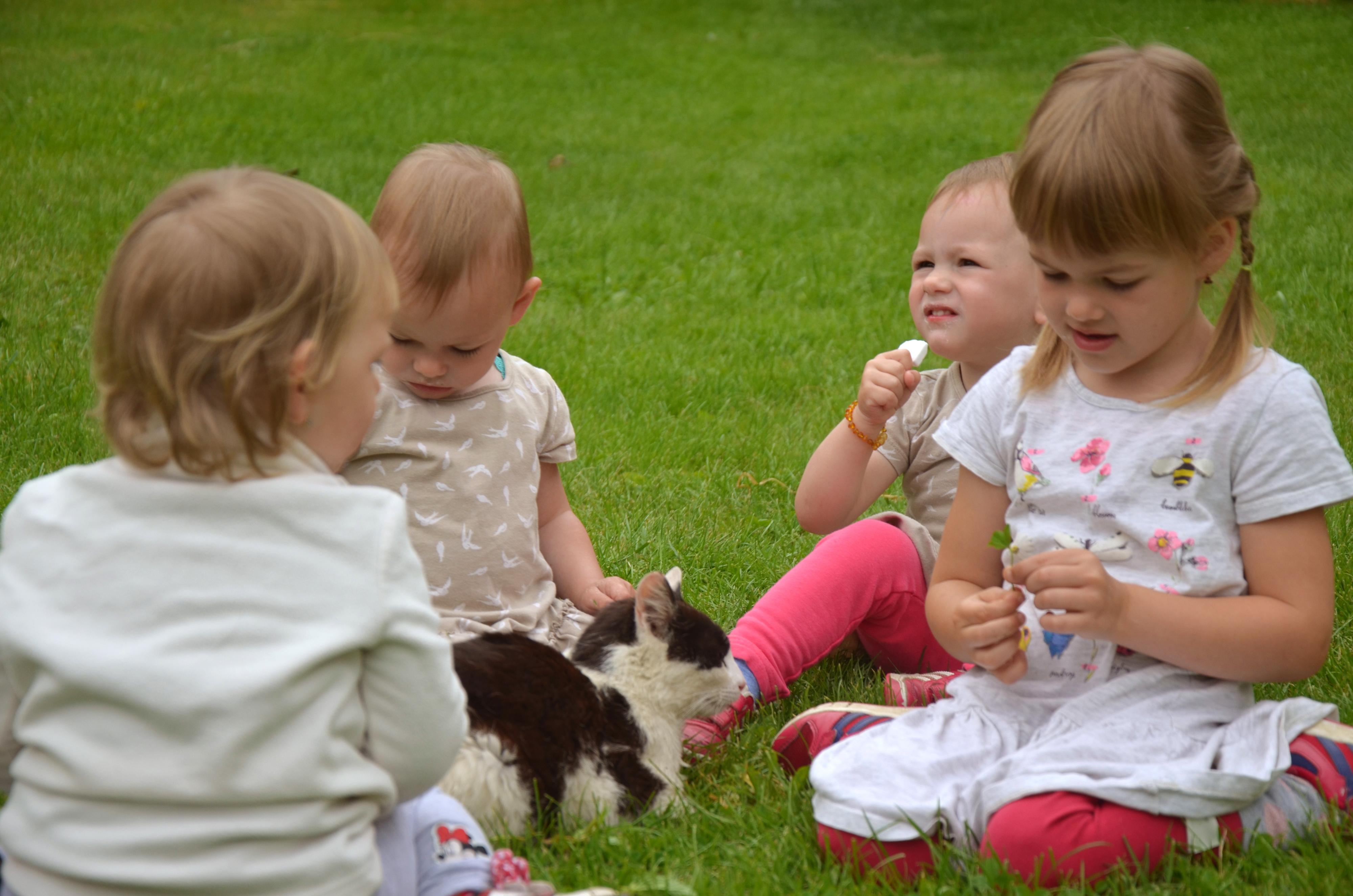 Bochníčkovi - Ubytování jako u babičky foto 4