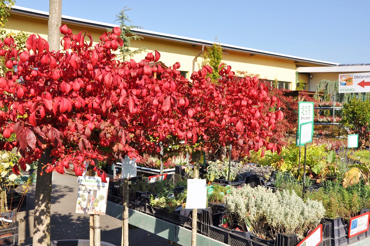 Váš zahradník Starkl foto 6