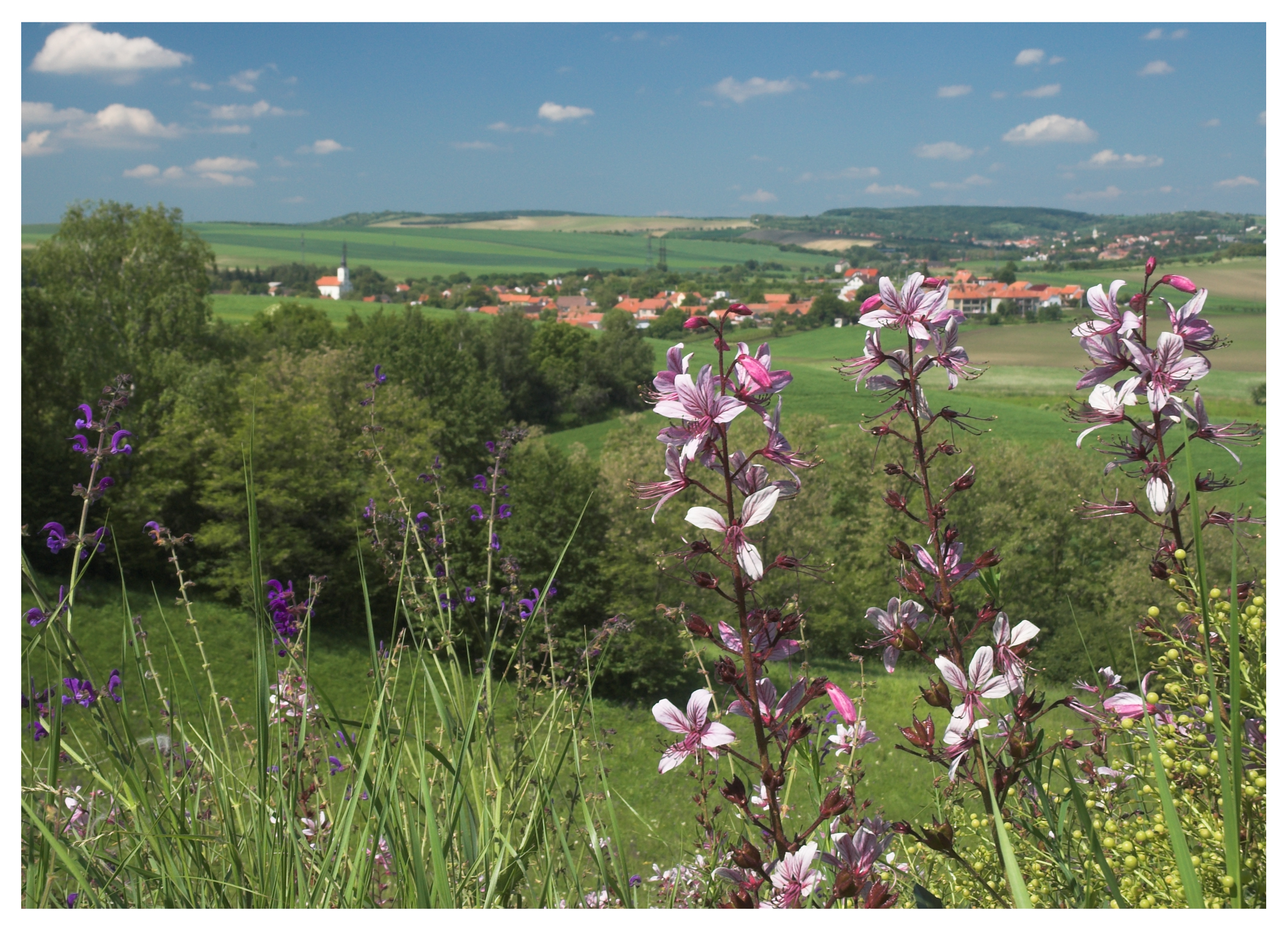 Krumvíř - obecní úřad foto 6