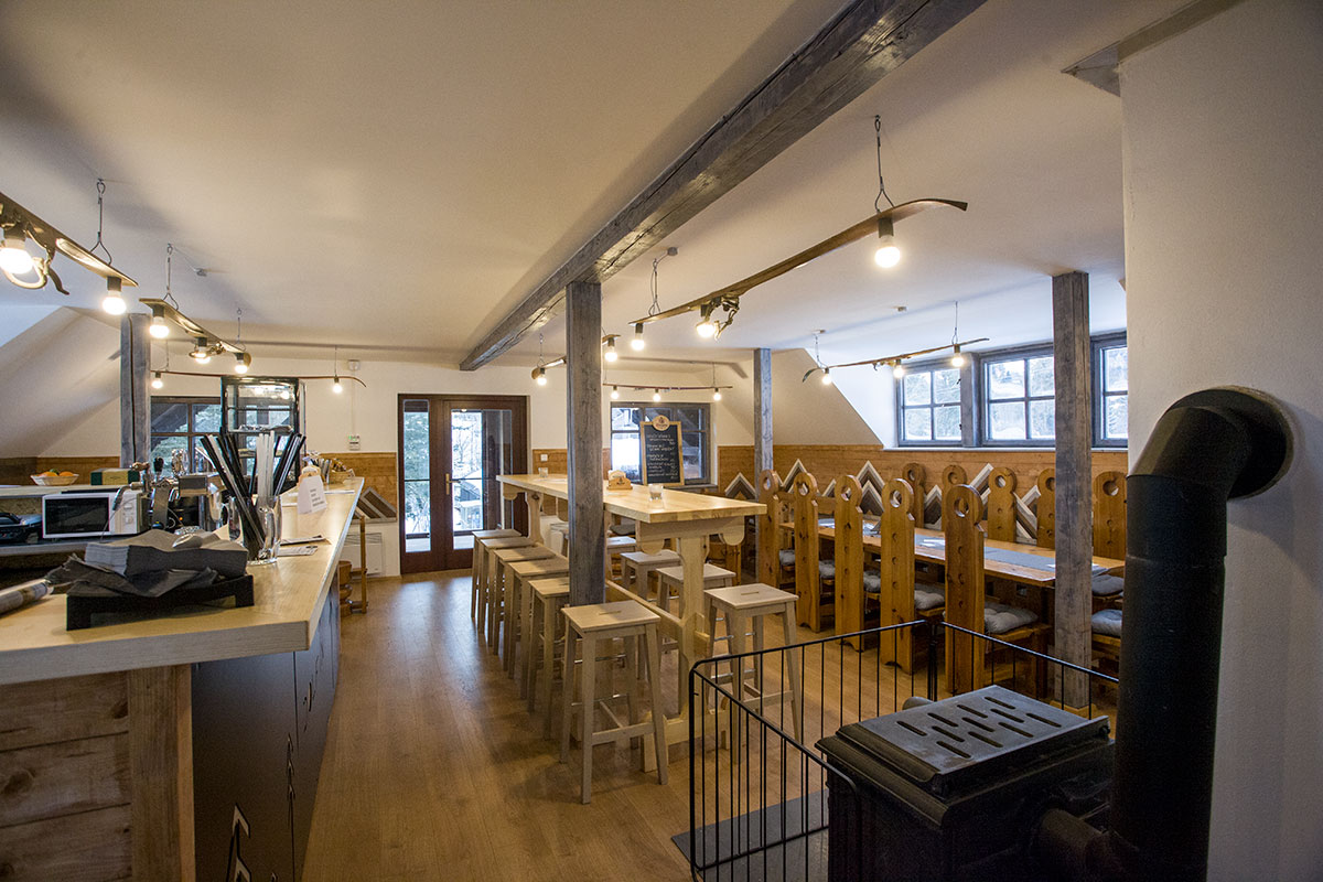 Bar Dolfin
