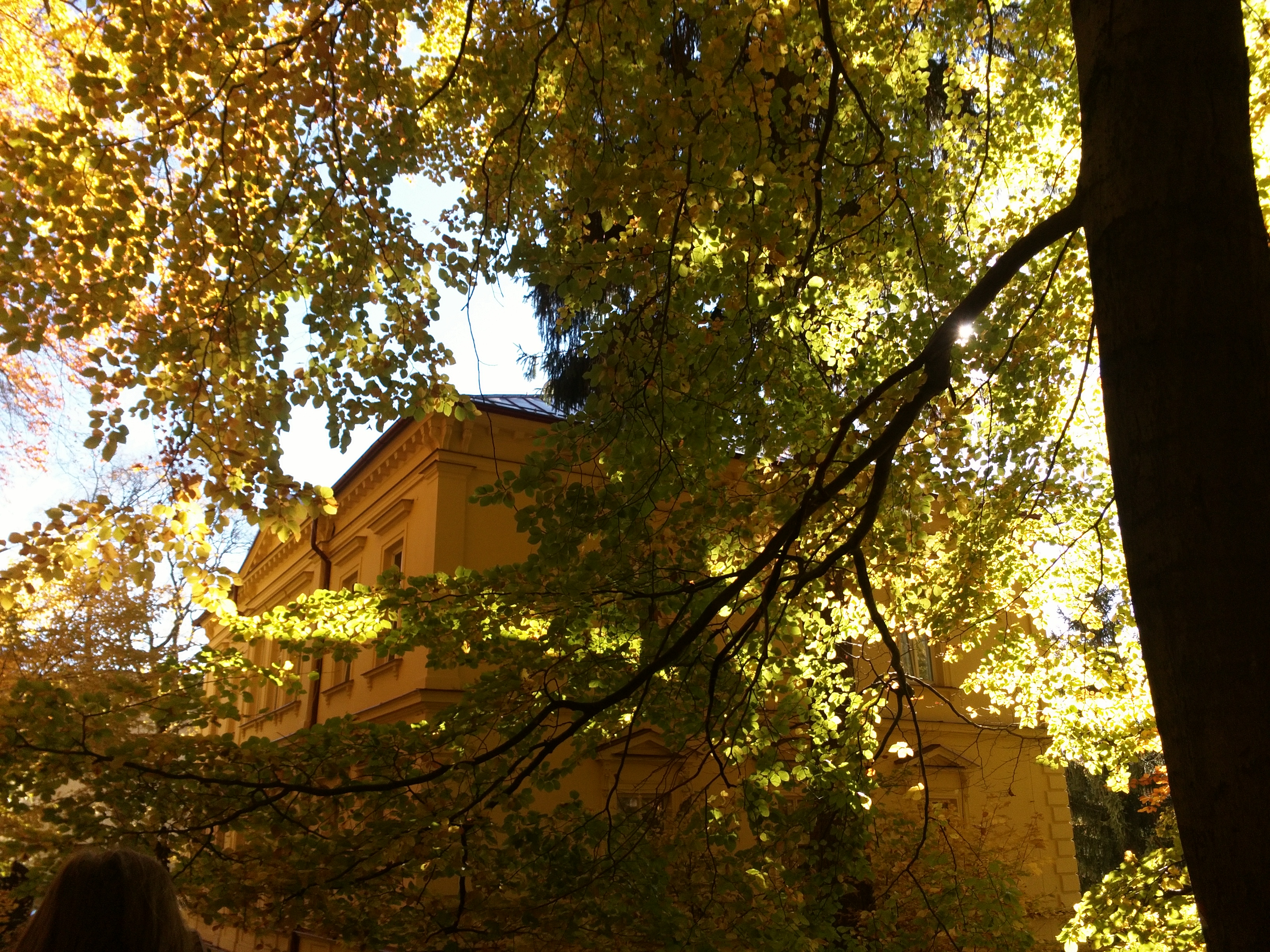 TopApartmany  Lesní foto 6