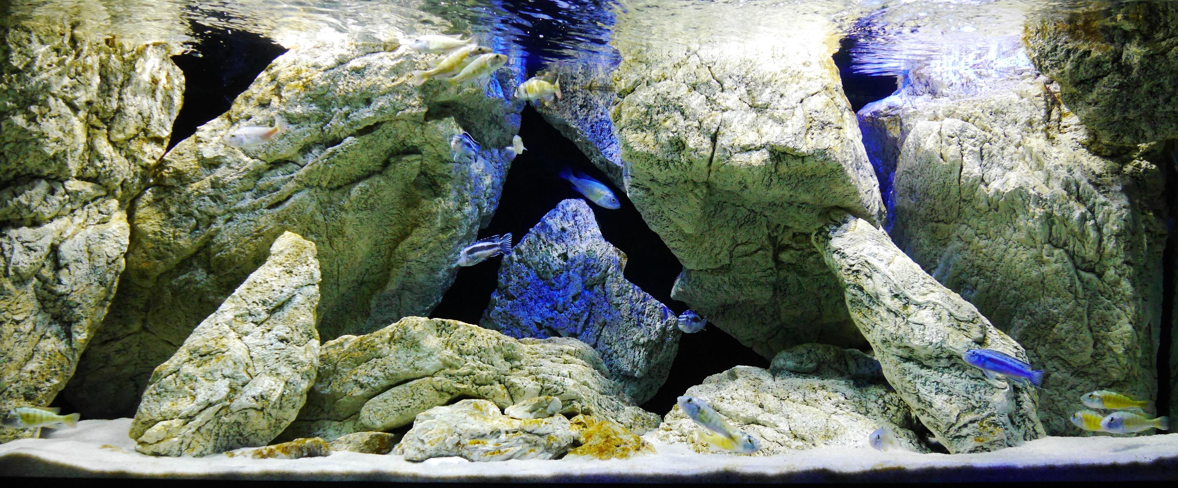 ARSTONE foto 4