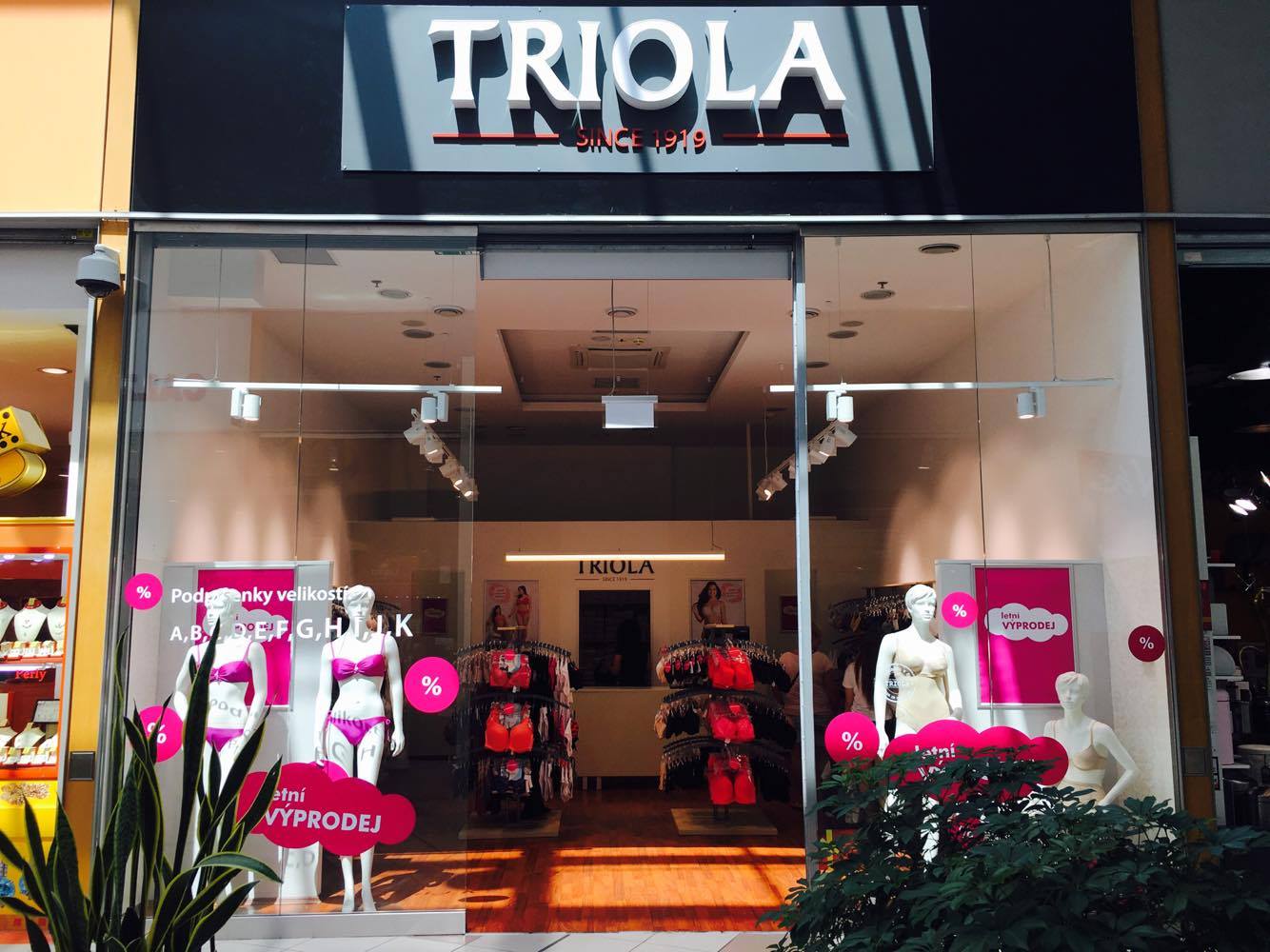 Triola foto 4
