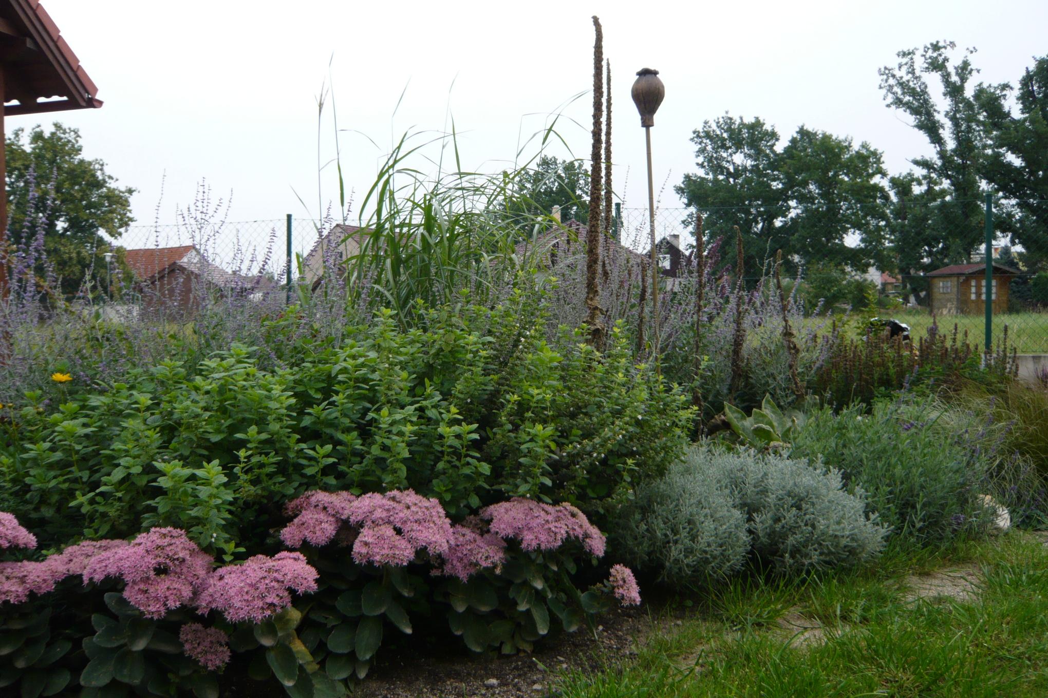 Zahrady bez vady Petr Hrdina