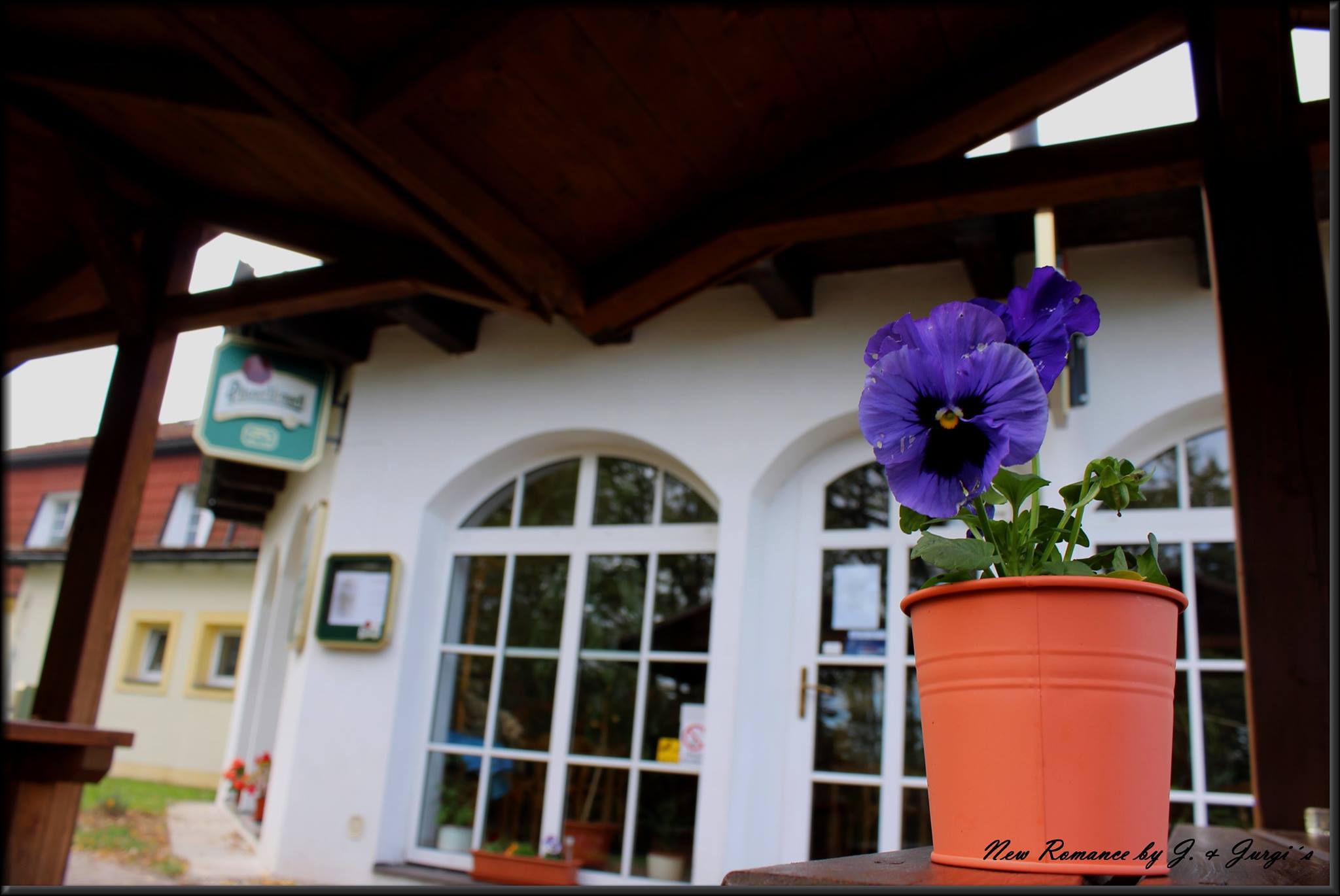 Restaurace New Romance foto 3