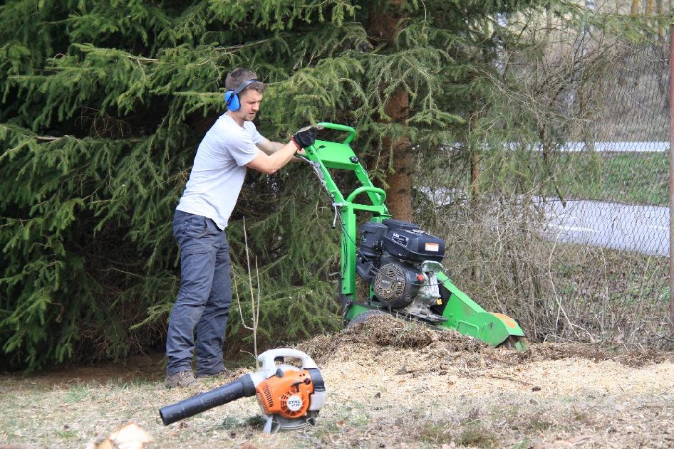 František Richter - kácení-frézování foto 4