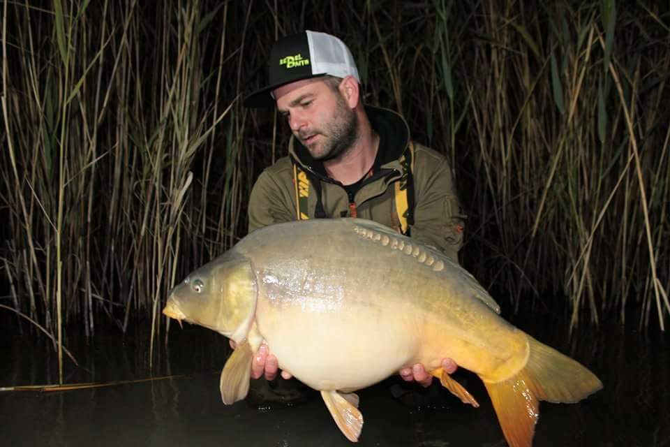 Rebelbaits foto 3