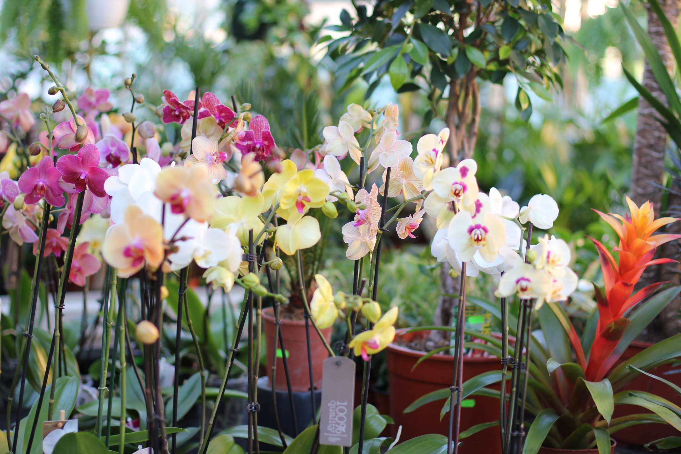 ZAHRADNICTVÍ PÍSEK, s.r.o. foto 6