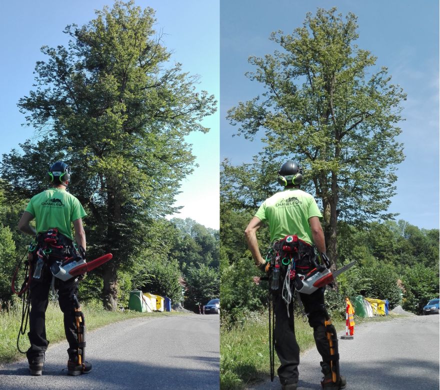 Chameleos, s.r.o. foto 2