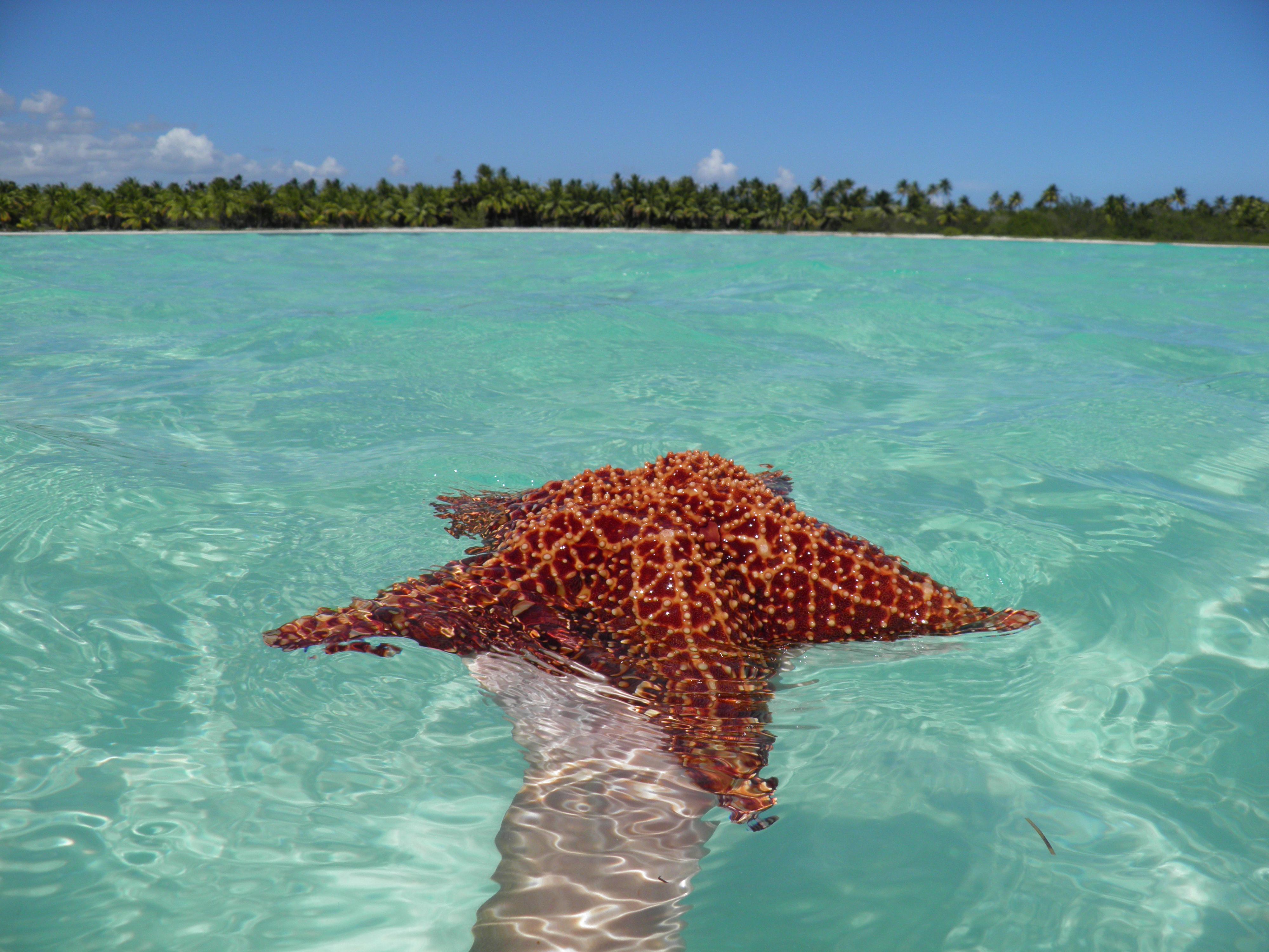 Cestovní kancelář ČEZPROKA foto 3