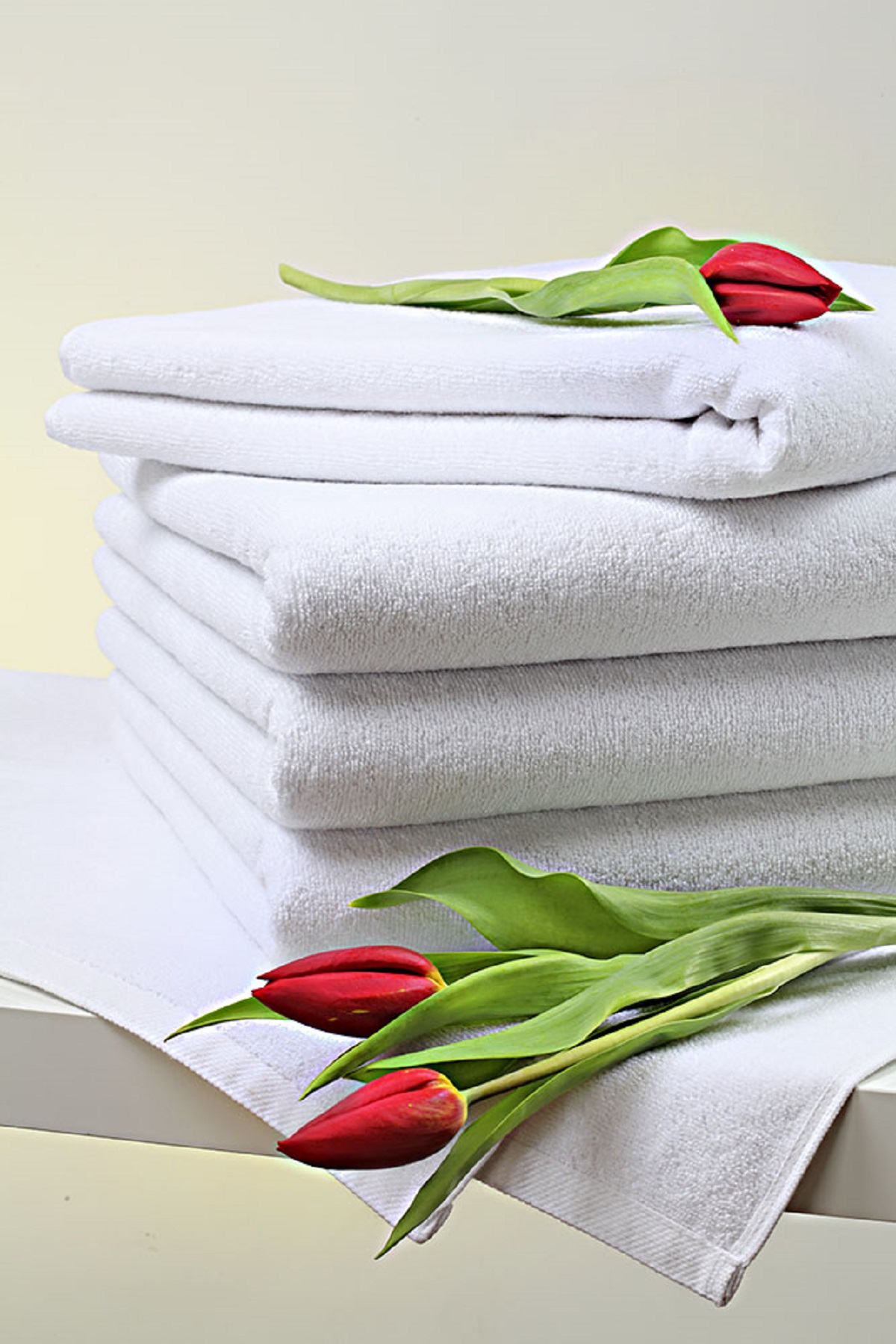 Caretrade, s.r.o. foto 4