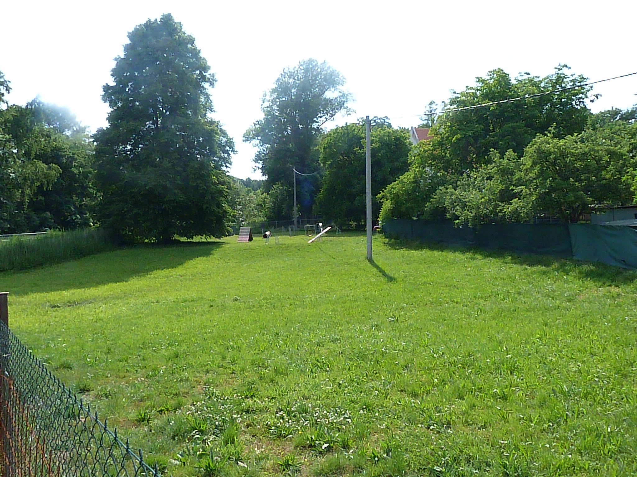 Psí škola Ambra Brunclíková