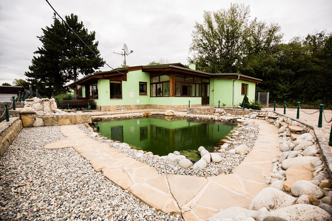 RECYKLACE PROCHÁZKA foto 3