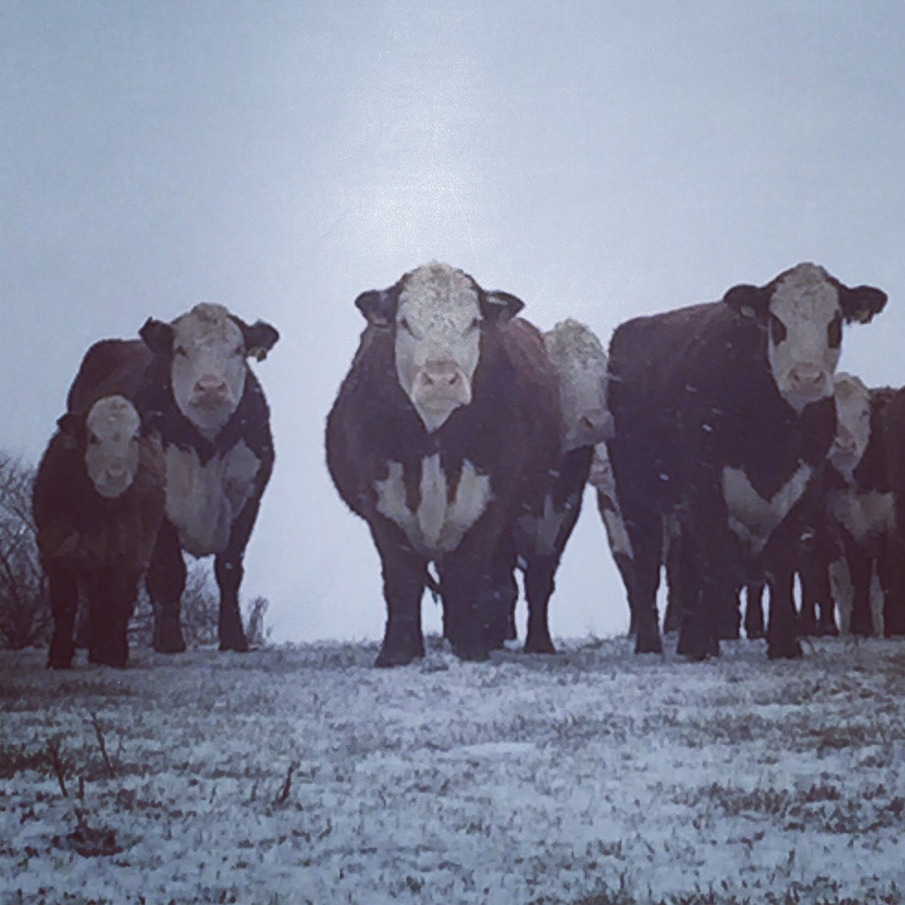 BioFarma Františkov foto 6